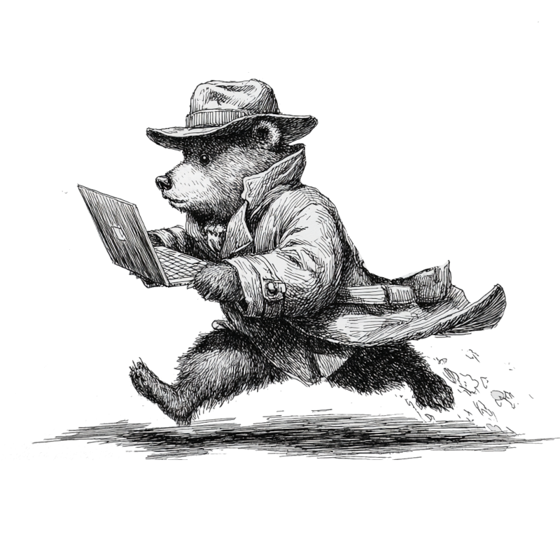 A bear with a laptop chasing those without security mechanisms